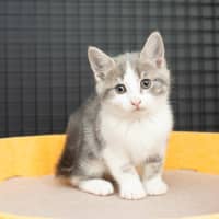 Photo of Cloud