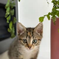 Photo of Boots
