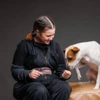 Photo of Lola   1 Year Old Cattle Dog X Staffy