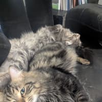 Photo of Wax & Wayne