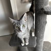 Photo of Dorothy
