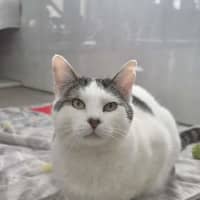 Photo of Theodore