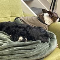 Photo of Ralph