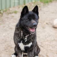 Photo of Kita