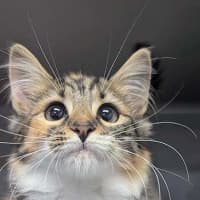 Photo of Tracey