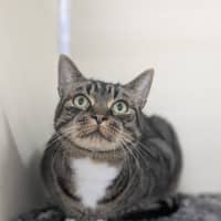 Photo of 🎮 Nippet 5903 🎮