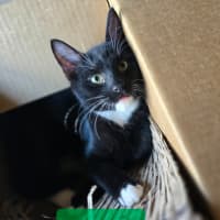 Photo of Berkley (Berks)
