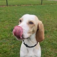 Photo of Post Malone