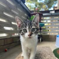 Photo of Jack