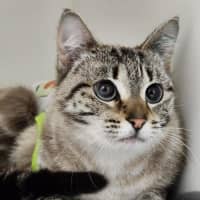 Photo of 💜 Indigo 6698 💜