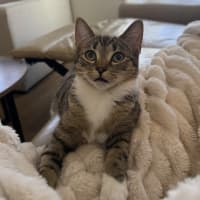 Photo of Andi