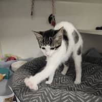 Photo of Windy