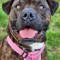 Photo of 🍃 Miguel 5402 🍃