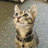 Photo of Bobby