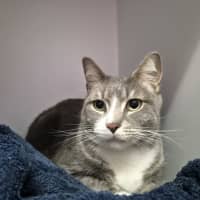 Photo of Jasper