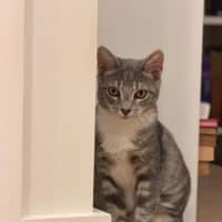 Photo of Adeline