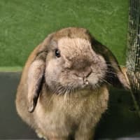 Photo of Richard