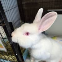 Photo of Gabriel (Gabe)