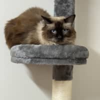 Photo of Mr Ice Blue