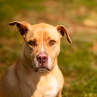 Photo of Max