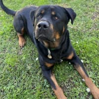 Photo of Axel