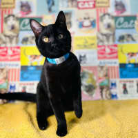 Photo of Eclipse   Located In Preston