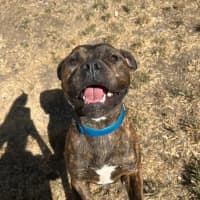 Photo of Ralphy Aka Wreck It Ralph