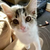 Photo of Dominic