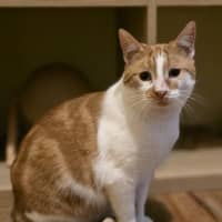 Photo of Cash