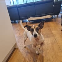 Photo of Jake