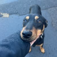 Photo of Pirate Jeff