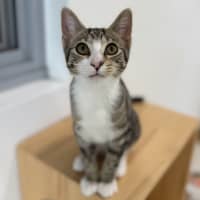 Photo of Minnie
