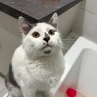 Photo of Victor