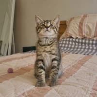 Photo of Buzz