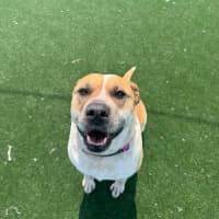 Photo of Minnie Imp 2069