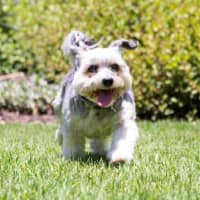 Photo of Lulu Lozano