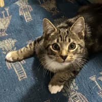 Photo of Monty