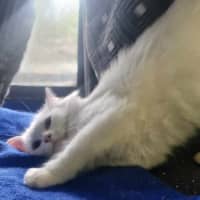 Photo of Grandpa Max