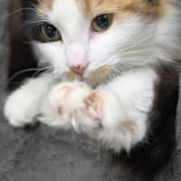 Photo of 🎀Brigita 6395 🎀