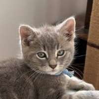 Photo of Seth