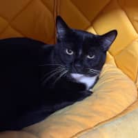 Photo of Quincy