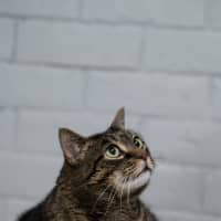 Photo of Turbo