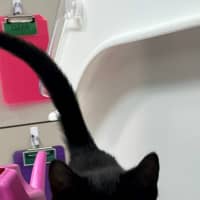 Photo of Adam (9992)