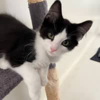 Photo of Gumdrop And Dumpling!