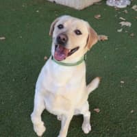 Photo of Charlie