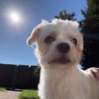 Photo of Marvin