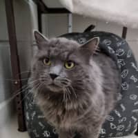 Photo of Jive