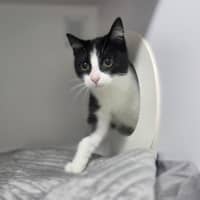 Photo of Jasper
