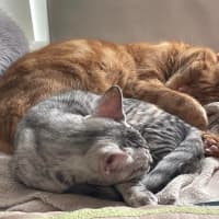 Photo of Rufus And Pandora