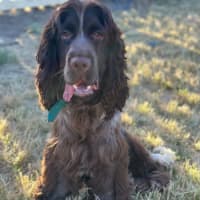 Photo of Albie